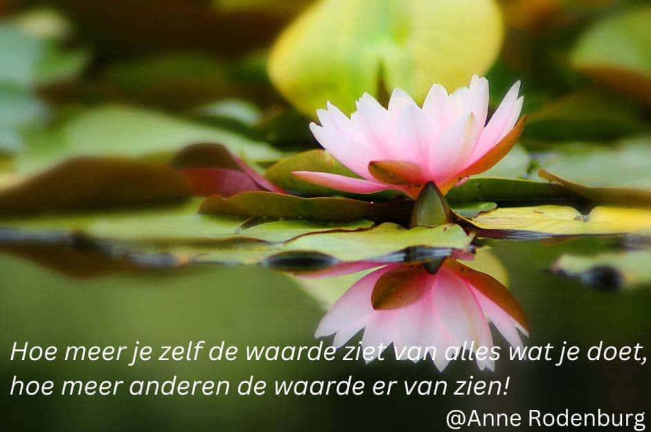 Foto onderzijde Homepage – Waarde zien Anne Rodenburg zelfreflectie en persoonlijke ontwikkeling
